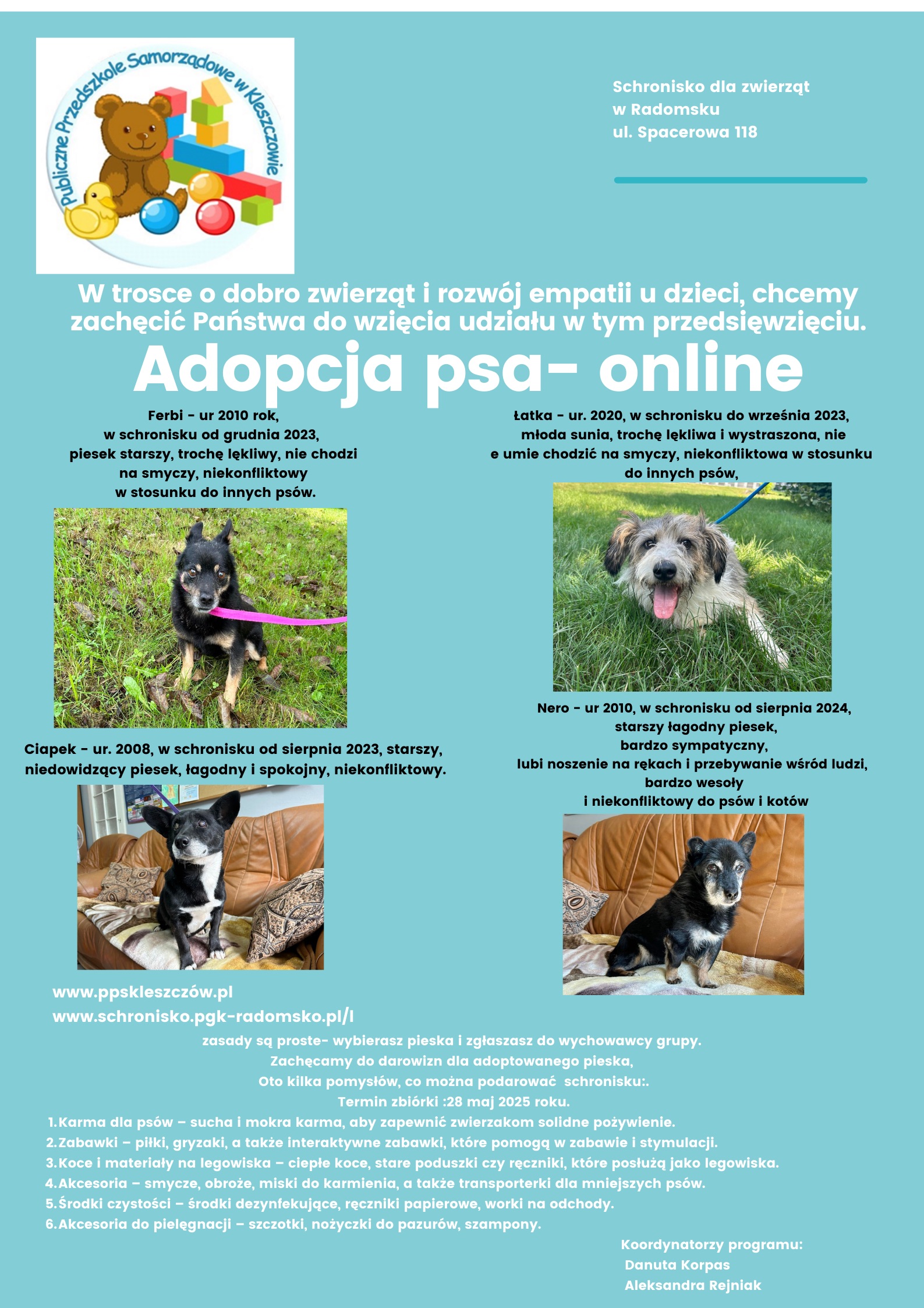 Plakat adopcja psa