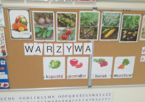 01Poznajemy warzywa