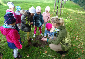 Dzieci kopią dziurę pod drzewko