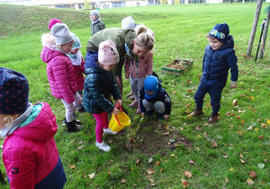 Dzieci podlewają drzewko