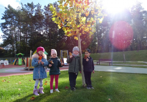 Dzieci koło drzewka