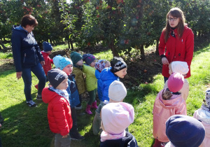 Dzieci stoją i słuchają, co pani mówi o jabłoniach.