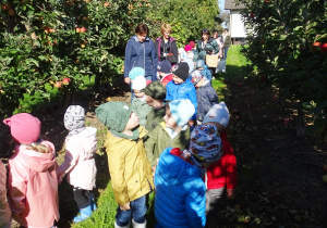 Dzieci spacerują po rządku z jabłoniami i obserwują drzewa.