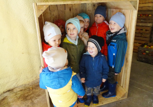 Dzieci weszły do kastry na jabłka, aby zobaczyć, jak dużo z nich się w nią zmieści.