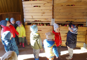 Dzieci oglądają wielkie skrzynie z jabłkami.