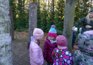 Dzieci oglądają korę drzewa