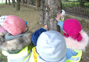 Dzieci dotykają drzewo