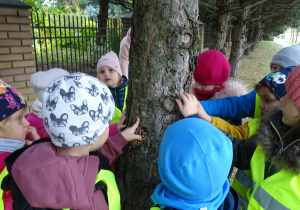 Dzieci dotykają drzewo rączkami