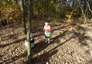 Dzieci zbierają dary lasu