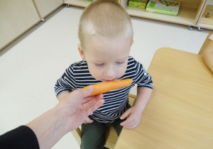 Pani podstawia Kostkowi marchewkę - chłopiec ją wącha.