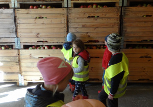 Dzieci oglądają magazyn owoców