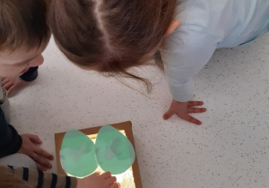 Dzieci oglądają wnętrze jaj ułożonych na pudełku wypełnionym światełkami
