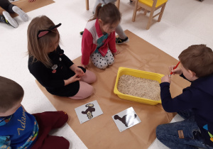 Dzieci w małej grupie siedzą wokół kuwety wypełnionej piaskiem, szukają ilustracji kości