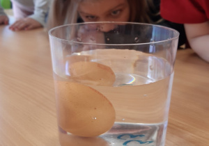 Dzieci obserwują jajko w pojemniku ze słodką wodą, jajko leży na dnie