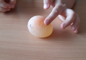 Dzieci dotykają jajko wyjęte z octu