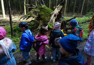 Dzieci oglądają konar drzewa