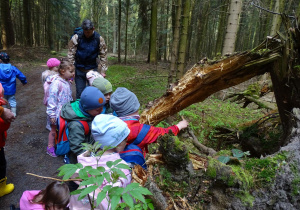 Dzieci dotykają drzewo