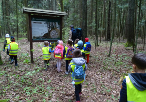 Dzieci oglądają tablicę z mieszkańcami lasu