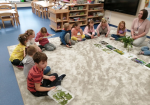 dzieci oglądają suszone zioła