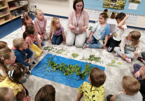dzieci oglądają rośliny