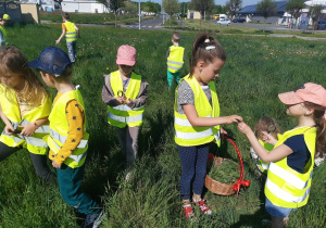 Dzieci na łące poszukują ciekawych roślin i owadów