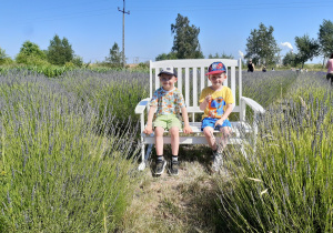 Chłopcy siedzą na ławce wśród lawendy