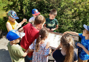 Dzieci oglądają wystawę owadów występujących w lasach