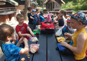 Piknik na terenie szkółki