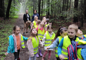 Dzieci oglądają las