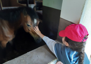 Dziewczynka głaszcze konia