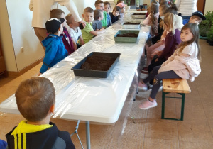 Dzieci przygotowują się do sadzenia roślin