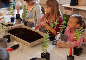 Dziewczynki sadzą rośliny