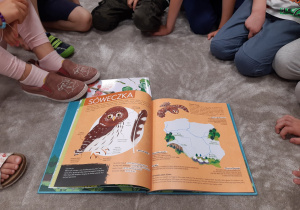 Dzieci oglądają książki o lesie