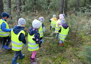 Dzieci spacerują po lesie i szukają śmieci.