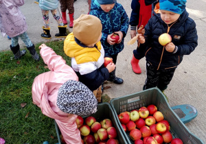 Dzieci częstują się jabłkami ze skrzyni
