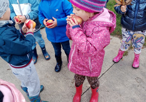 Dzieci jedzą jabłka