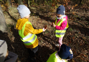 Dzieci zbierają liście w lesie