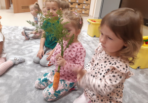 Dzieci oglądają marchewkę z natką