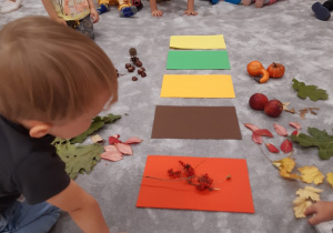 Dzieci segregują dary jesieni według kolorów