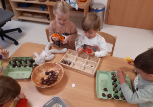 Dzieci ćwiczą rączki podczas zabawy kasztanami