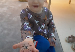 Franio trzyma plastikowego pająka na rączce