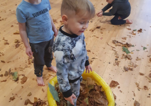 Chłopiec stoi w baseniku wypełnionym suchymi liśćmi
