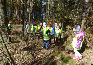 Dzieci chodzą po lesie.
