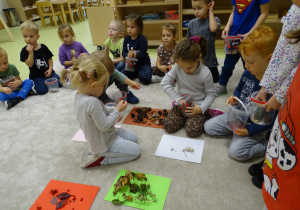 Dzieci rozdzielają znalezione dary jesieni według kolorów.