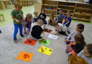 Dzieci rozdzielają znalezione dary jesieni według kolorów.