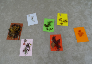 Dary jesieni rozłożone na kartkach w odpowiednim kolorze.