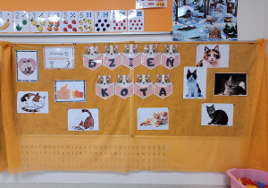 Dekoracja tablicy z napisem dzień kota