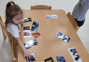 Dziewczynka bawi się kocimi kartami