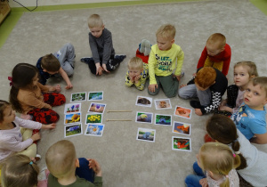 Dzieci zaznaczają znak równości do znaczków z obrazkami.