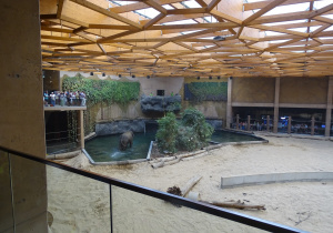 Słonie podczas kąpieli